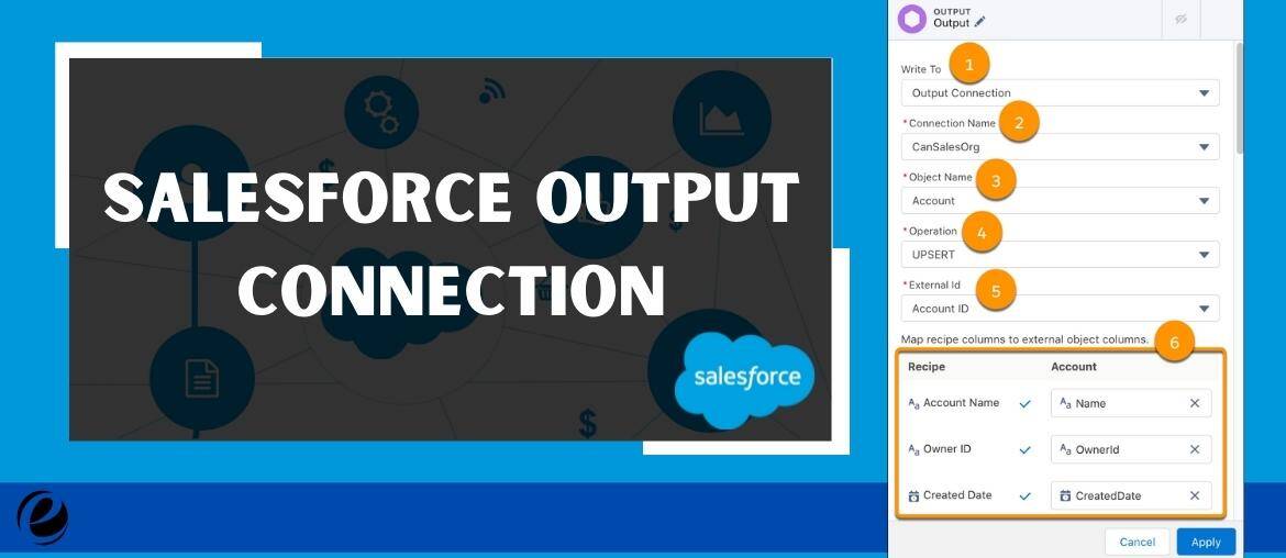 Salesforce Output Connection