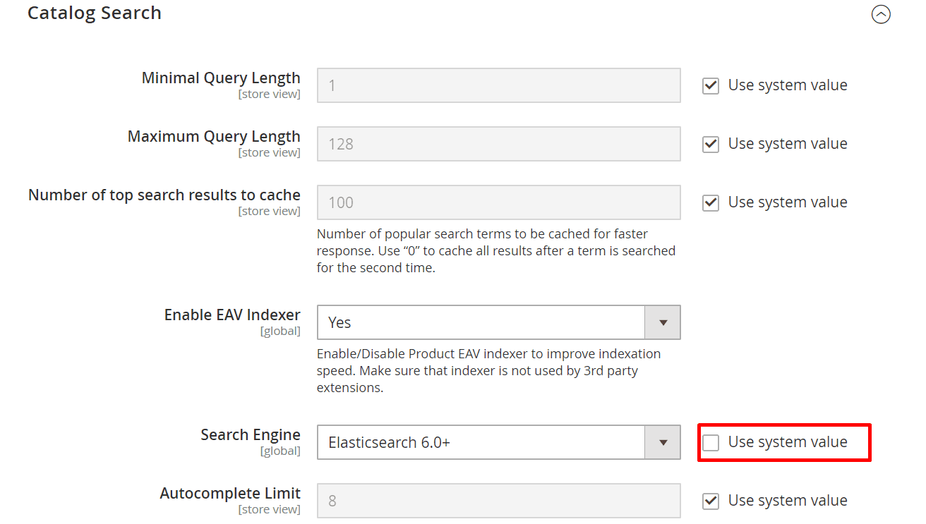 51 Search Engine