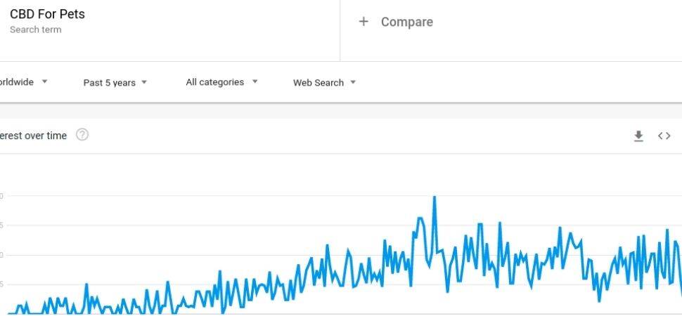 CBD for pets niche google trend data
