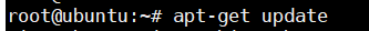 install Nginx command