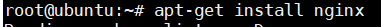 install Nginx command