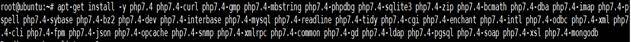install PHP and extension