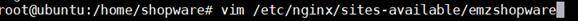 Nginx virtual host configuration
