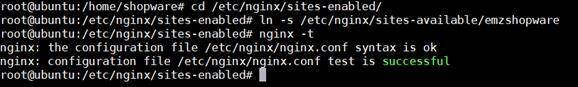 verify the Nginx for any syntax error