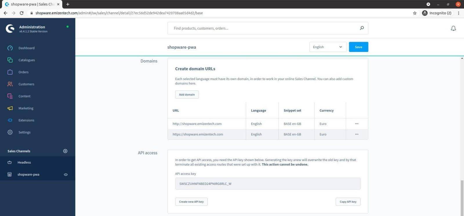 Domain(Instance Address) and API access(Access Token)