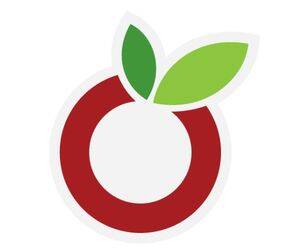 Our Groceries App Logo