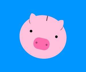 ReceiptHog App Logo