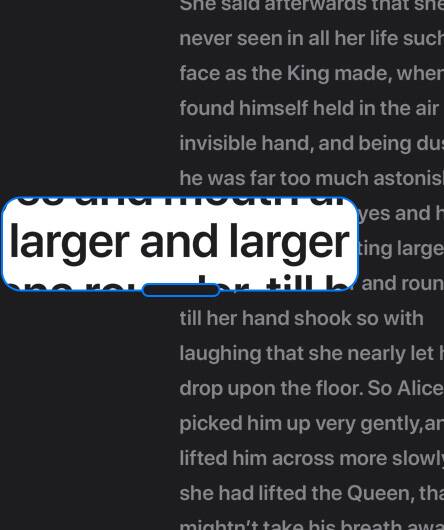 apple screen magnifier