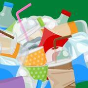 Solid Waste