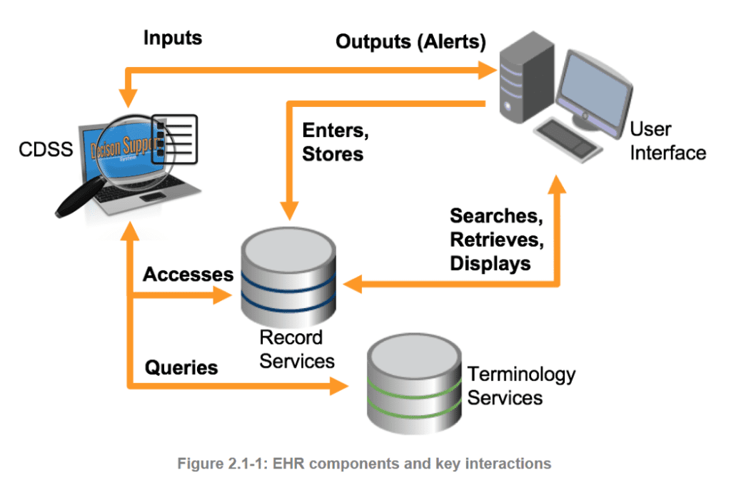 EHR components
