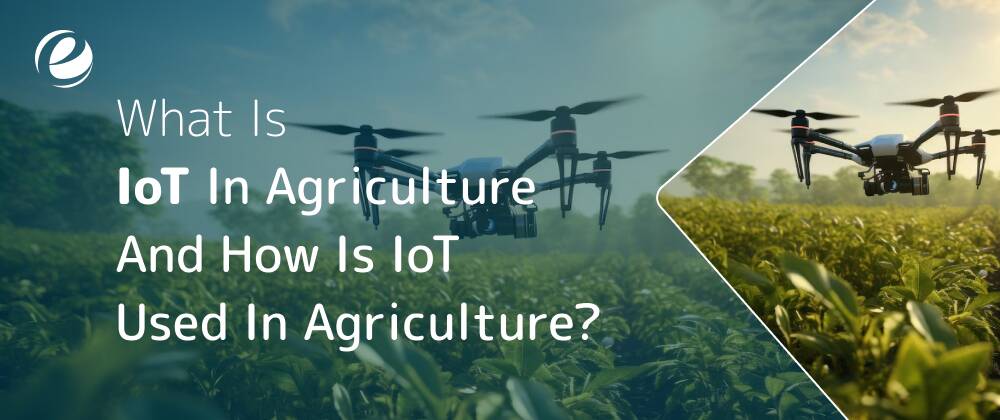 What is IoT in Agriculture and How is IoT Work Used in Agriculture?
