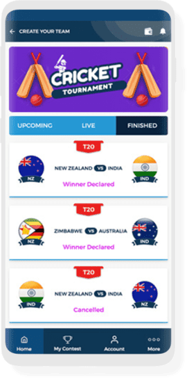 Fantasy Sports App Development Company - Emizentech