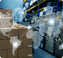 Supply Network