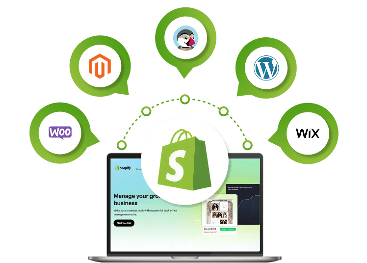 Expert Shopify SEO Services to Make Your Brand Get Seen