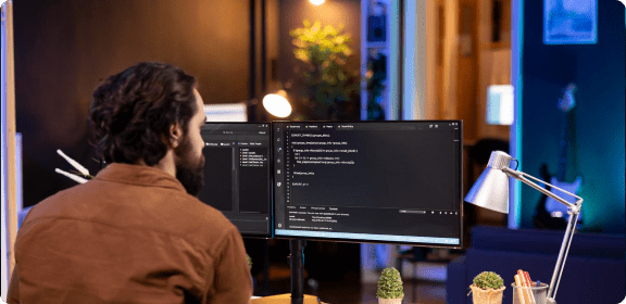 WordPress Developers