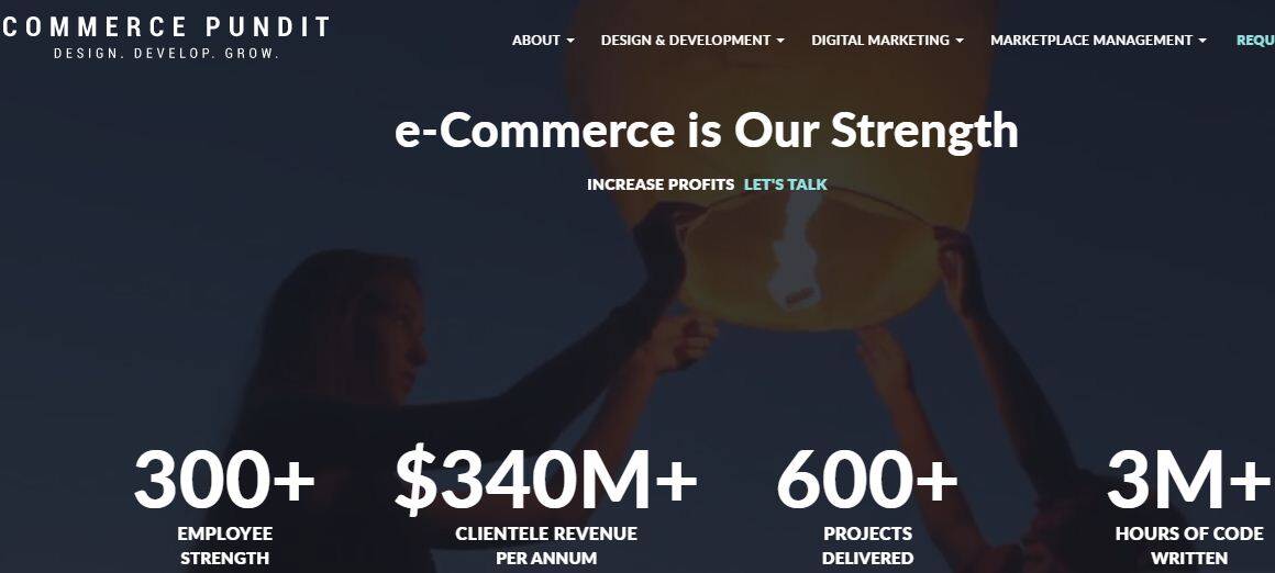 commerce pundit