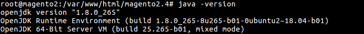 32 java -version