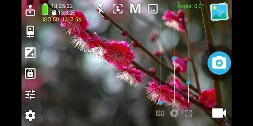 HedgeCam 2