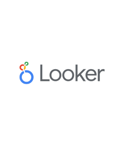 Looker Studio Logo