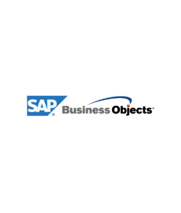 SAP Business Object Loog