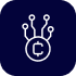 Blockchain Copyright