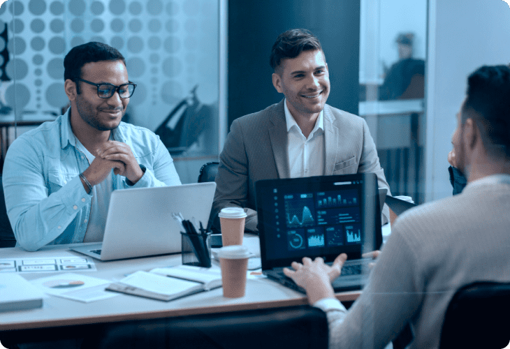 Software-Consultin