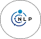 Hire NLP Developer