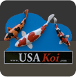 UsaKoi