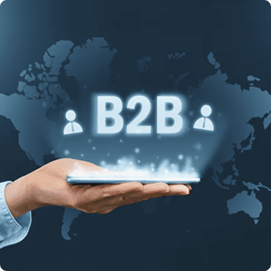 B2B & Wholesale  We optimize bulk order processing, implement custom pricing strategies, and automate workflows to streamline large-scale transactions.
