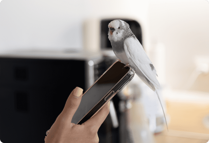 Bird Feeding Schedule App