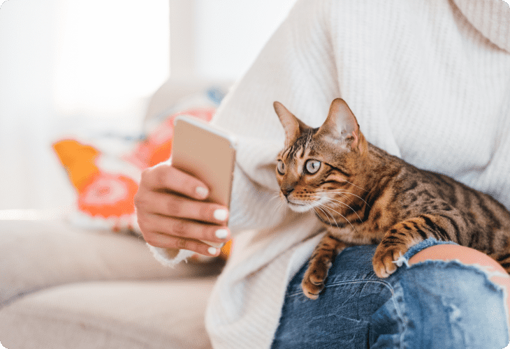 Cat Care App