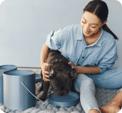 Custom Pet Care App Development