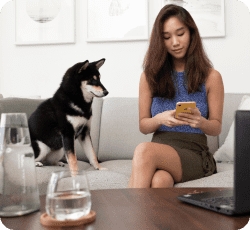 On-Demand Pet Sitting App Development