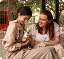 Pet Adoption and Rescue App Development