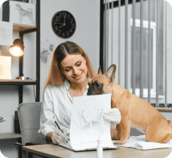 Pet Grooming and Training App Development