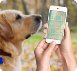 Pet Tracker and Wearable Integration Services