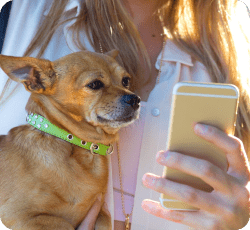 Social Networking Apps for Pet Owners