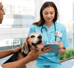 Veterinary Appointment Booking App Development