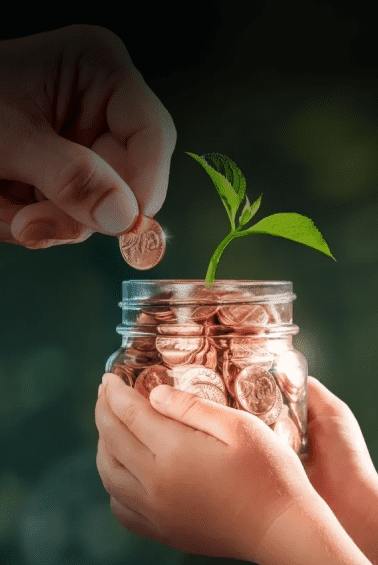 Finance & Banking