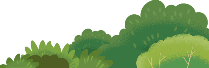 salesforce-theme