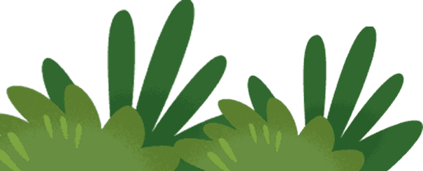 salesforce-theme