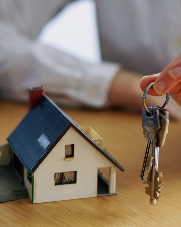 Real Estate